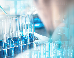 수정 가능한 이미지