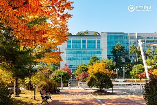 깊어가는 11월의 한양대학교🍂